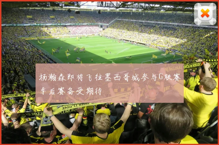 杨瀚森即将飞往墨西哥城参与G联赛季后赛备受期待